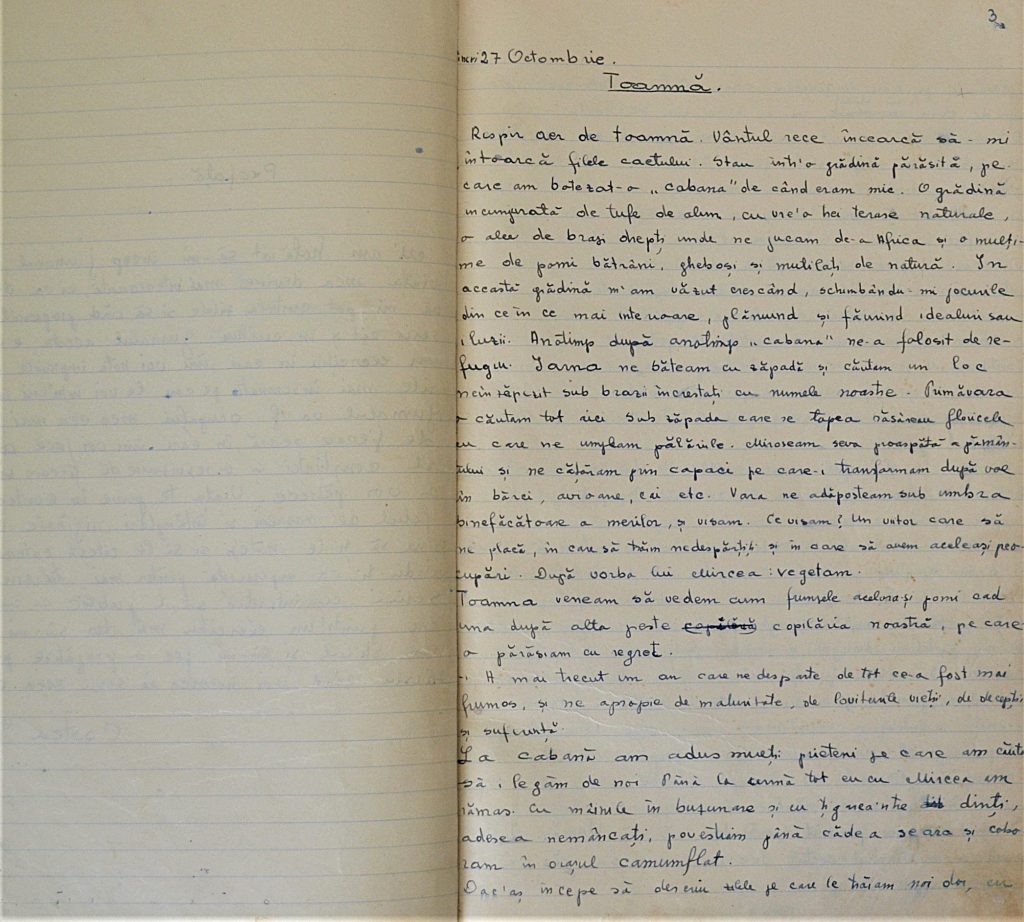 jurnal-costea-ioan-sighisoara-1944-1945-pages-2-and-3.