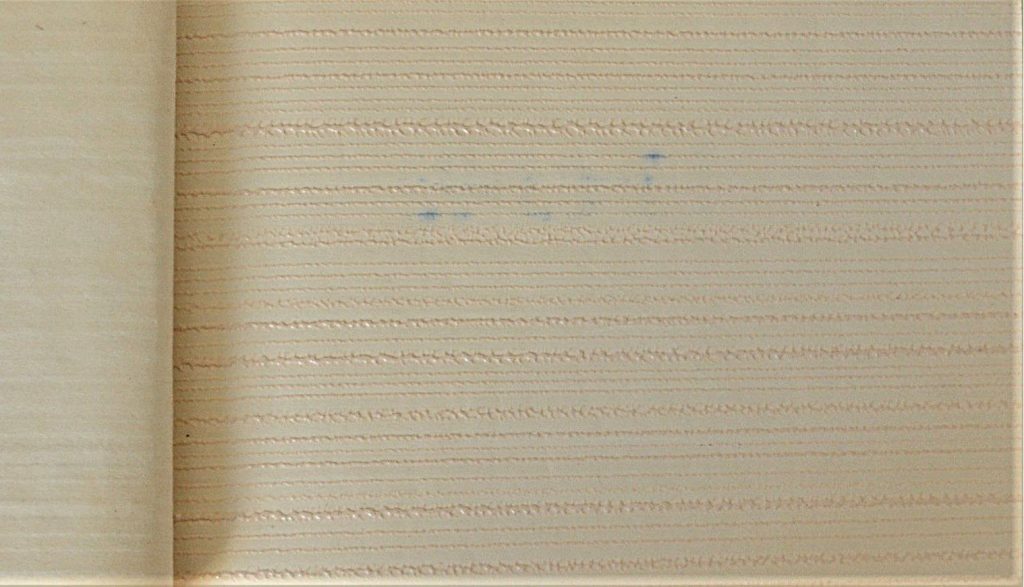 tapet-pvc-turda-1-03-02-five.