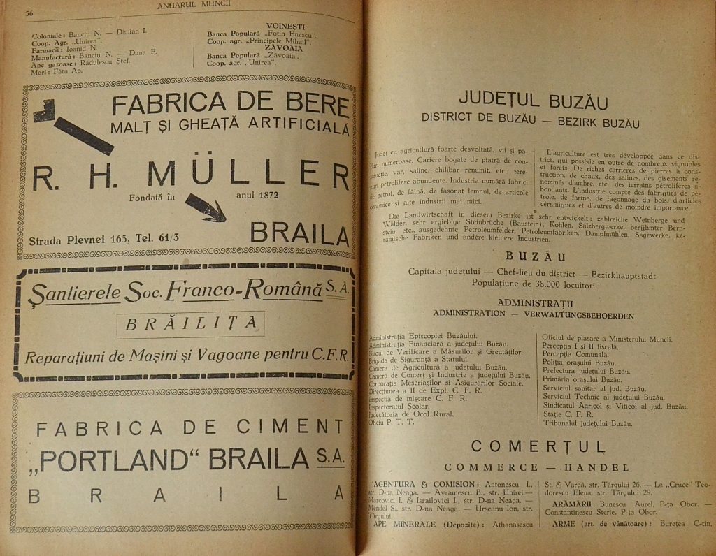 anuarul-muncii-editia-1933-judetul-buzau-pages-56-and-57