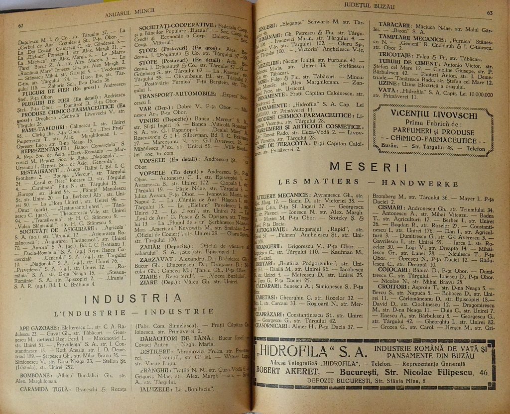 anuarul-muncii-editia-1933-judetul-buzau-pages-62-and-63