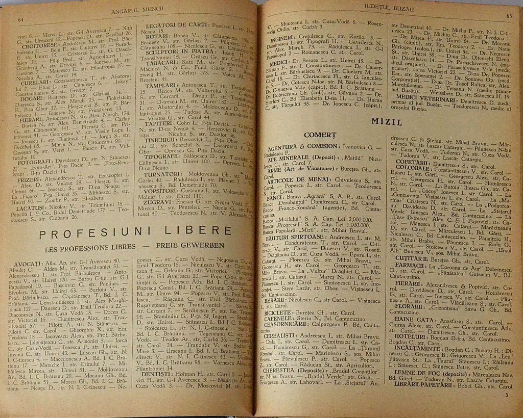 anuarul-muncii-editia-1933-judetul-buzau-pages-64-and-65