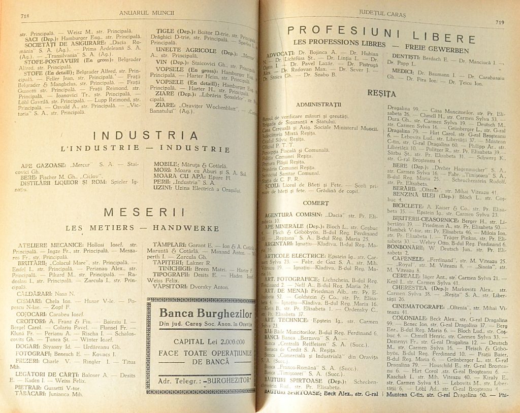 anuarul-muncii-editia-1933-judetul-caras-resita-pages-718-and-719