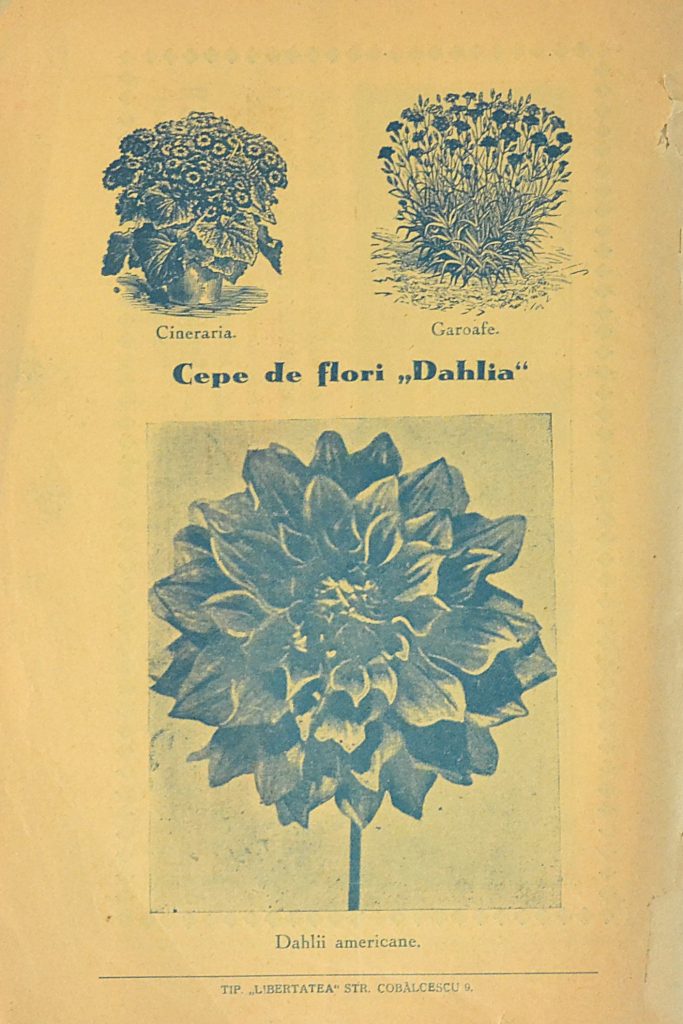 catalog-general-al-seminteriei-1937-clouard-bucuresti-la-bunul-gradinar-back-cover.