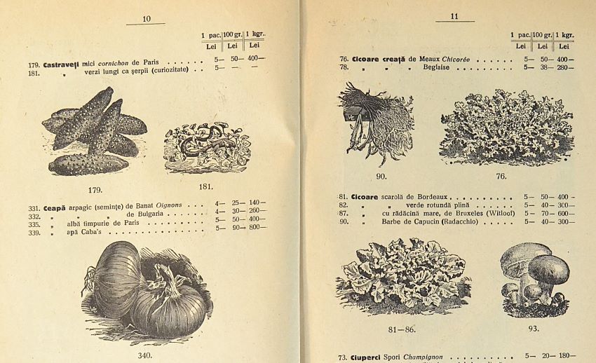 catalog-general-al-seminteriei-1937-clouard-bucuresti-la-bunul-gradinar-pages-10-and-11.