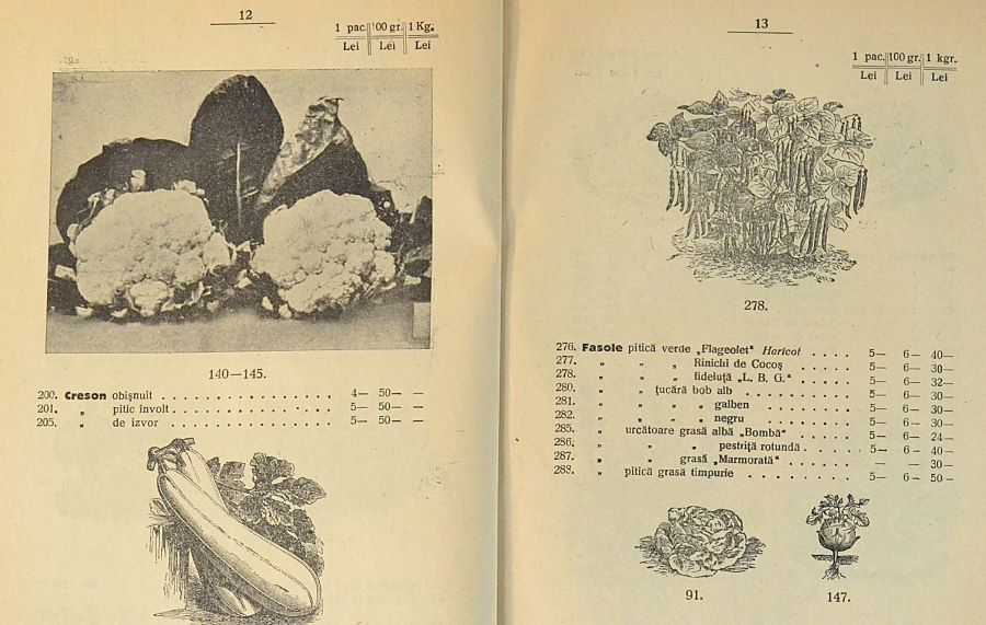 catalog-general-al-seminteriei-1937-clouard-bucuresti-la-bunul-gradinar-pages-12-and-13.