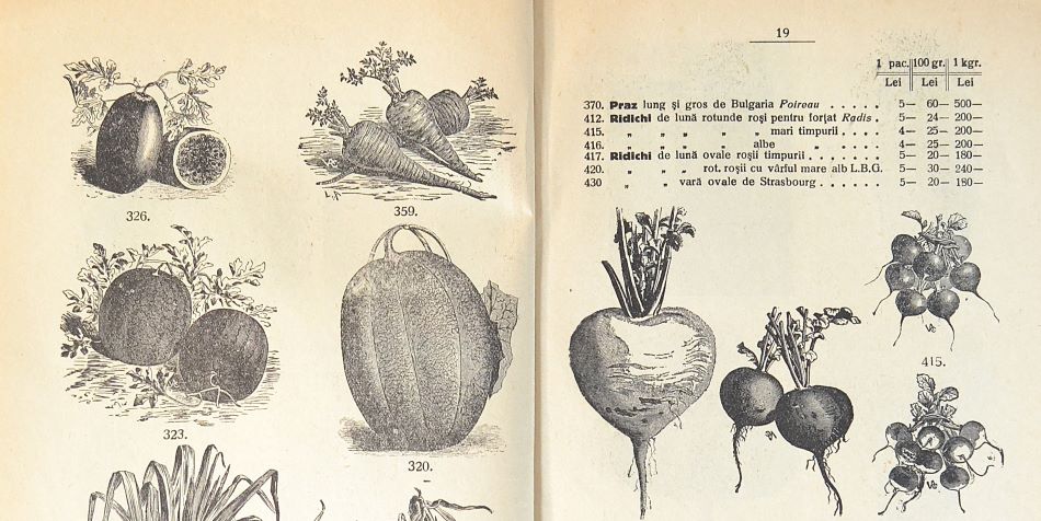 catalog-general-al-seminteriei-1937-clouard-bucuresti-la-bunul-gradinar-pages-18-and-19.
