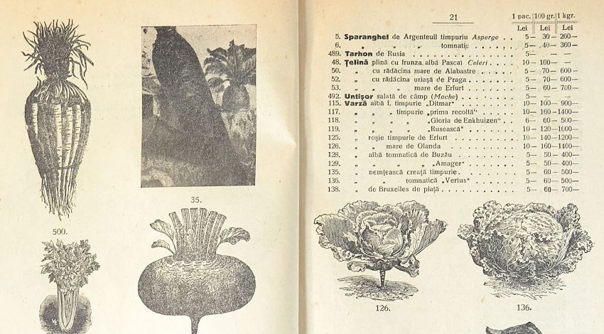 catalog-general-al-seminteriei-1937-clouard-bucuresti-la-bunul-gradinar-pages-20-and-21