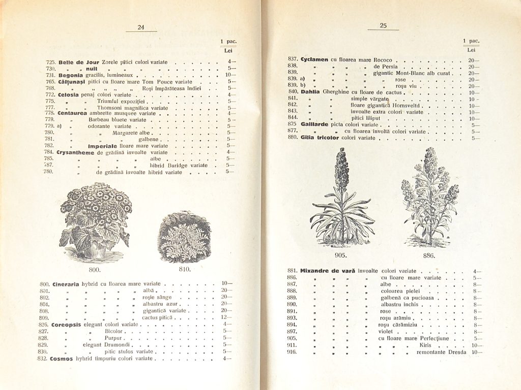 catalog-general-al-seminteriei-1937-clouard-bucuresti-la-bunul-gradinar-pages-24-and-25