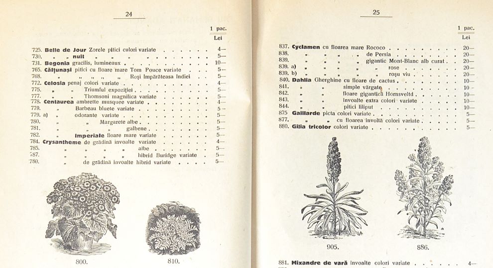 catalog-general-al-seminteriei-1937-clouard-bucuresti-la-bunul-gradinar-pages-24-and-25
