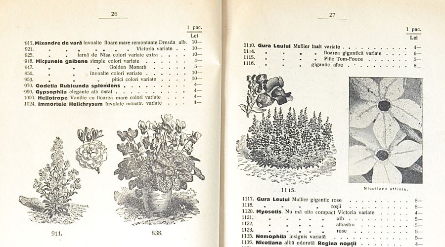 catalog-general-al-seminteriei-1937-clouard-bucuresti-la-bunul-gradinar-pages-26-and-27.