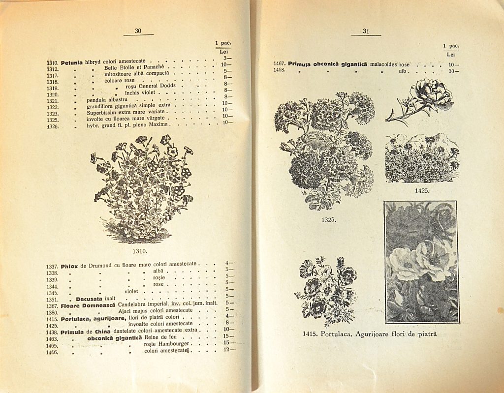 catalog-general-al-seminteriei-1937-clouard-bucuresti-la-bunul-gradinar-pages-30-and-31