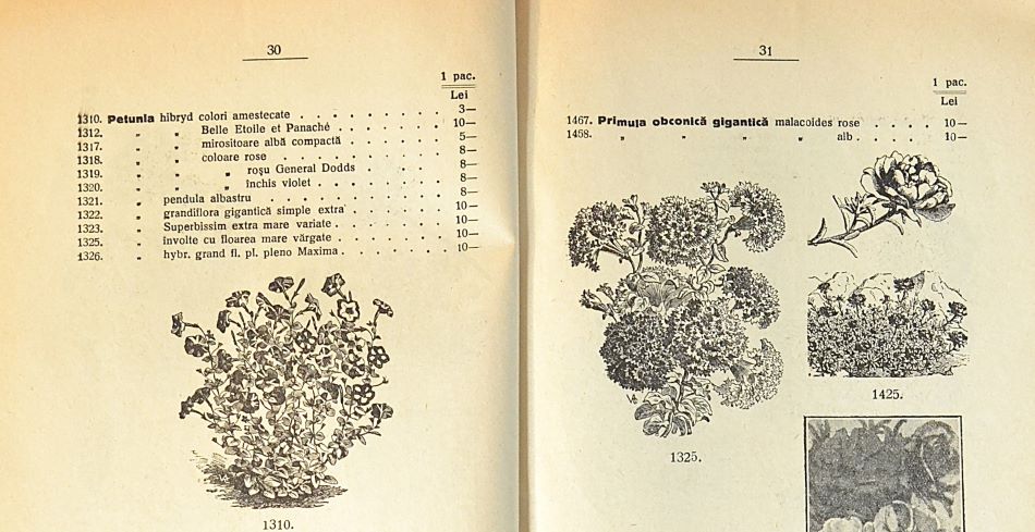 catalog-general-al-seminteriei-1937-clouard-bucuresti-la-bunul-gradinar-pages-30-and-31.