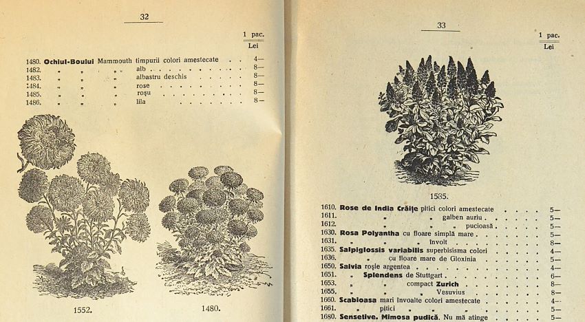 catalog-general-al-seminteriei-1937-clouard-bucuresti-la-bunul-gradinar-pages-32-and-33