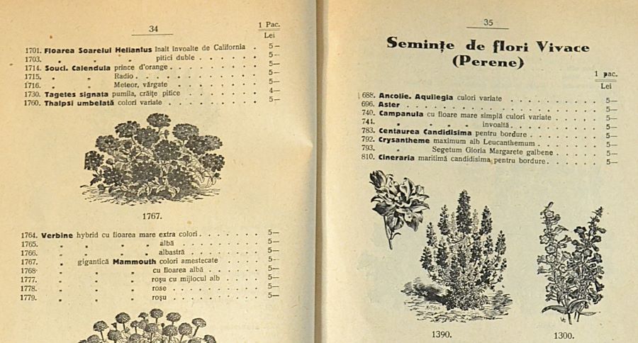catalog-general-al-seminteriei-1937-clouard-bucuresti-la-bunul-gradinar-pages-34-and-35