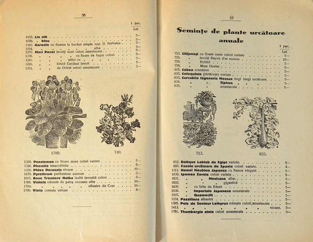 catalog-general-al-seminteriei-1937-clouard-bucuresti-la-bunul-gradinar-pages-36-and-37