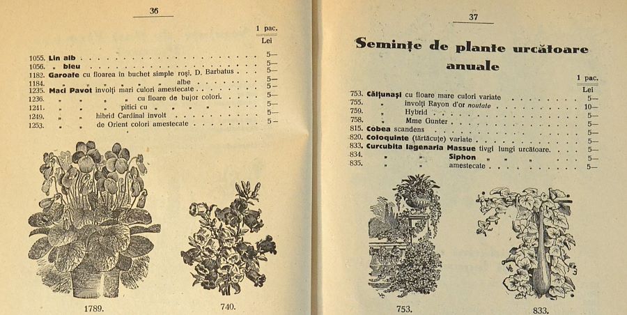 catalog-general-al-seminteriei-1937-clouard-bucuresti-la-bunul-gradinar-pages-36-and-37.