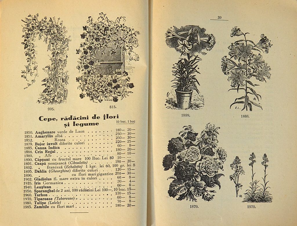 catalog-general-al-seminteriei-1937-clouard-bucuresti-la-bunul-gradinar-pages-38-and-39