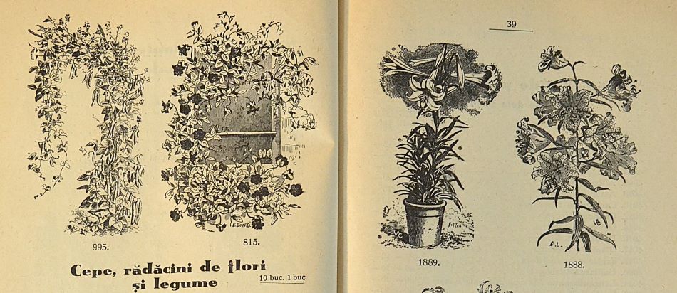 catalog-general-al-seminteriei-1937-clouard-bucuresti-la-bunul-gradinar-pages-38-and-39.