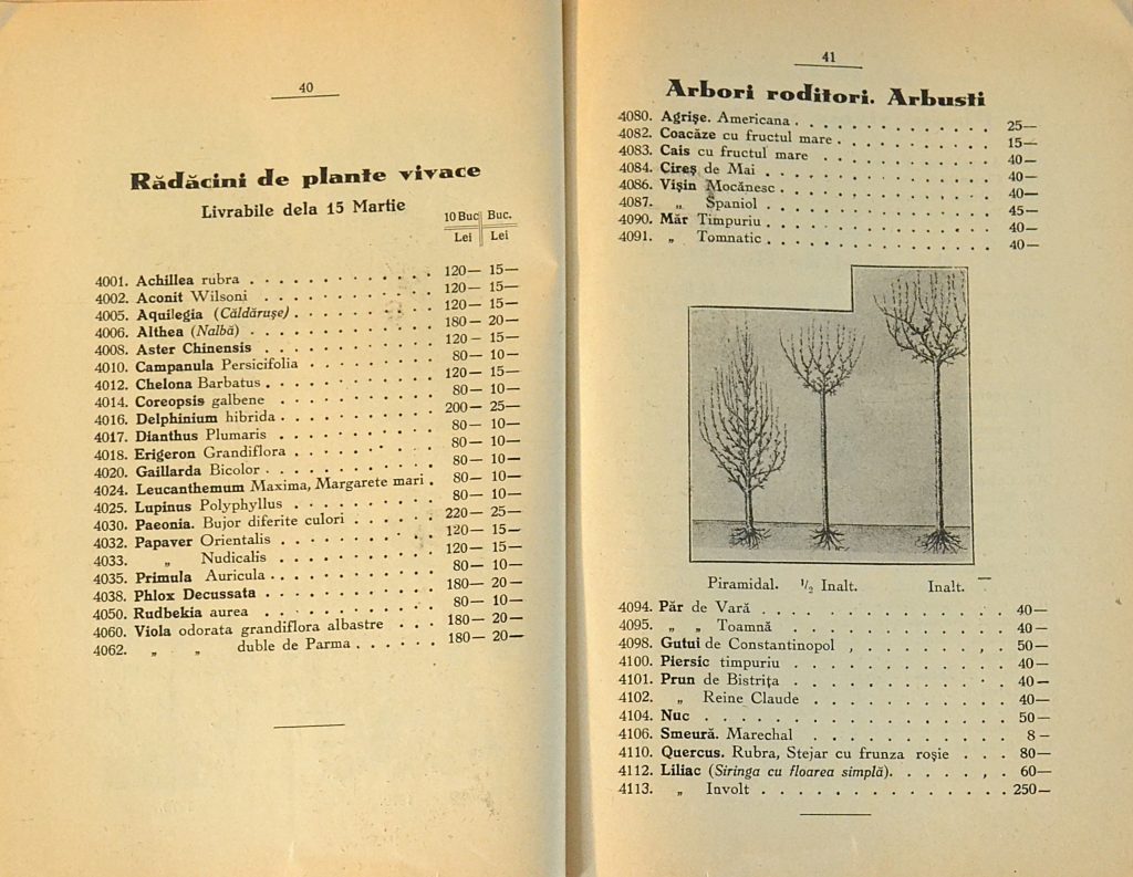 catalog-general-al-seminteriei-1937-clouard-bucuresti-la-bunul-gradinar-pages-40-and-41