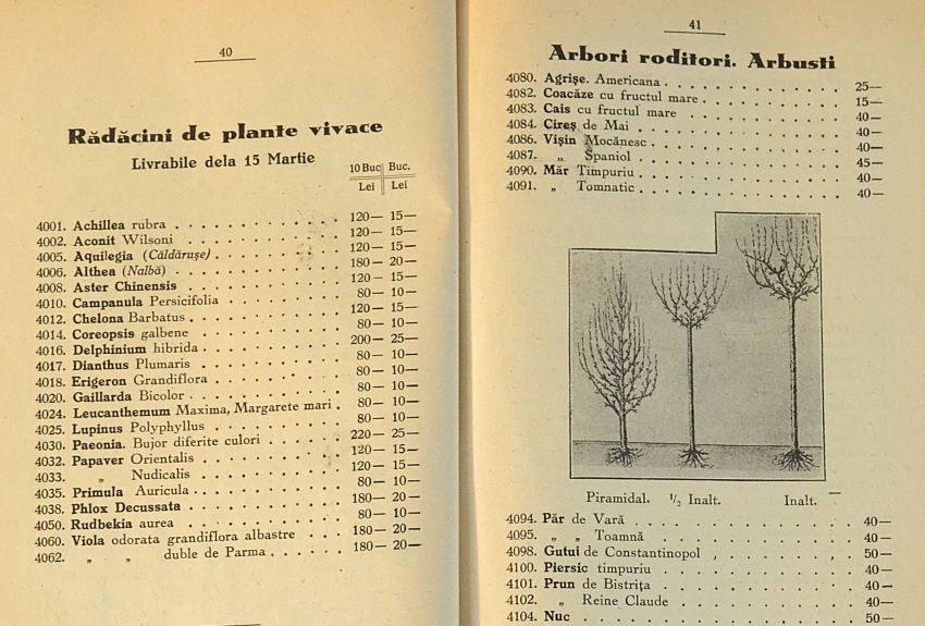 catalog-general-al-seminteriei-1937-clouard-bucuresti-la-bunul-gradinar-pages-40-and-41.