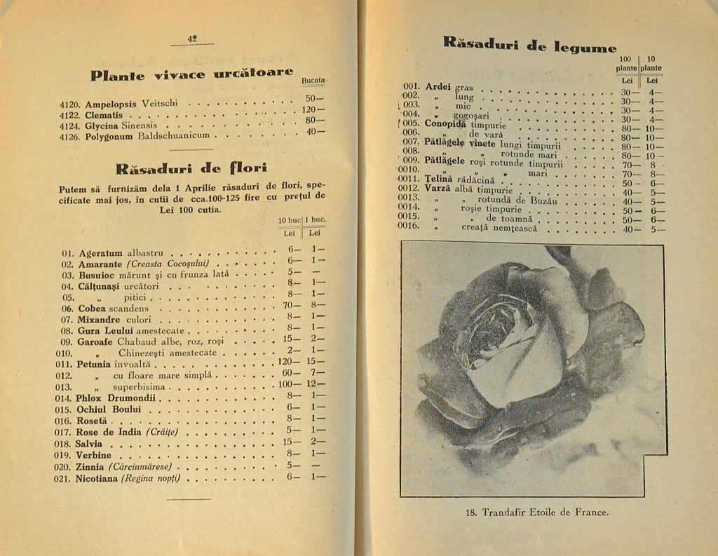 catalog-general-al-seminteriei-1937-clouard-bucuresti-la-bunul-gradinar-pages-42-and-43