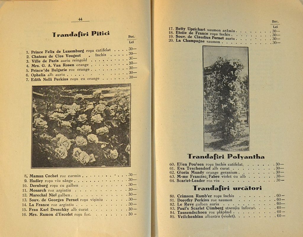 catalog-general-al-seminteriei-1937-clouard-bucuresti-la-bunul-gradinar-pages-44-and-45