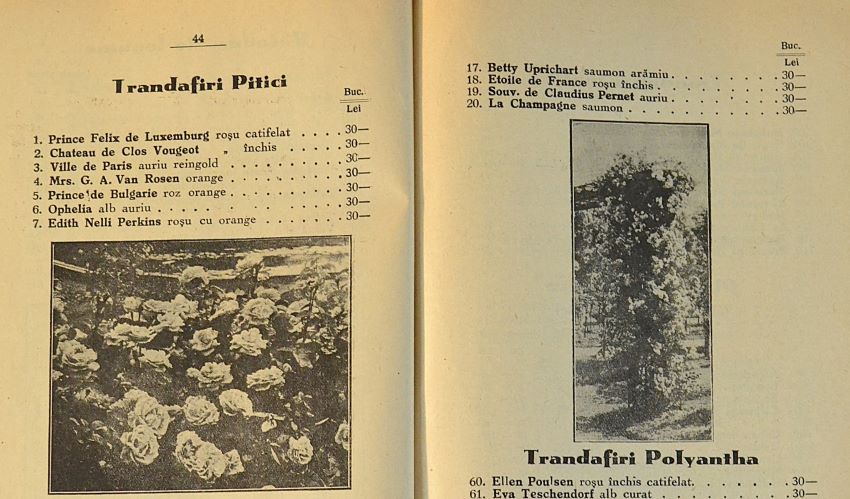 catalog-general-al-seminteriei-1937-clouard-bucuresti-la-bunul-gradinar-pages-44-and-45.