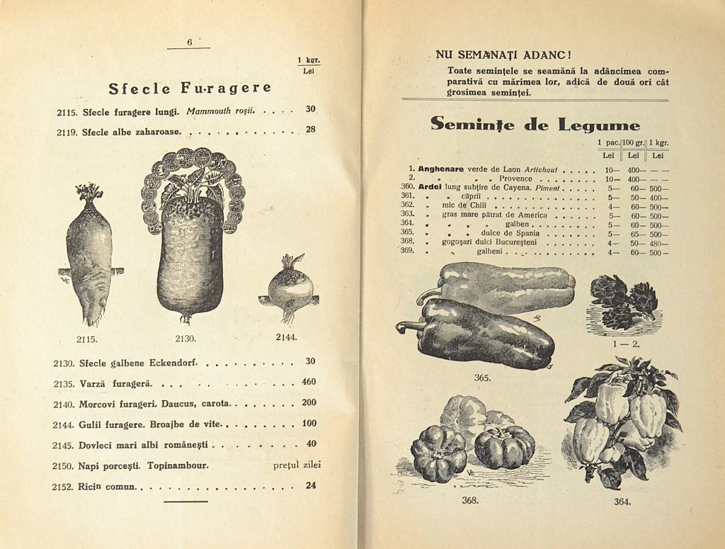catalog-general-al-seminteriei-1937-clouard-bucuresti-la-bunul-gradinar-pages-6-and-7