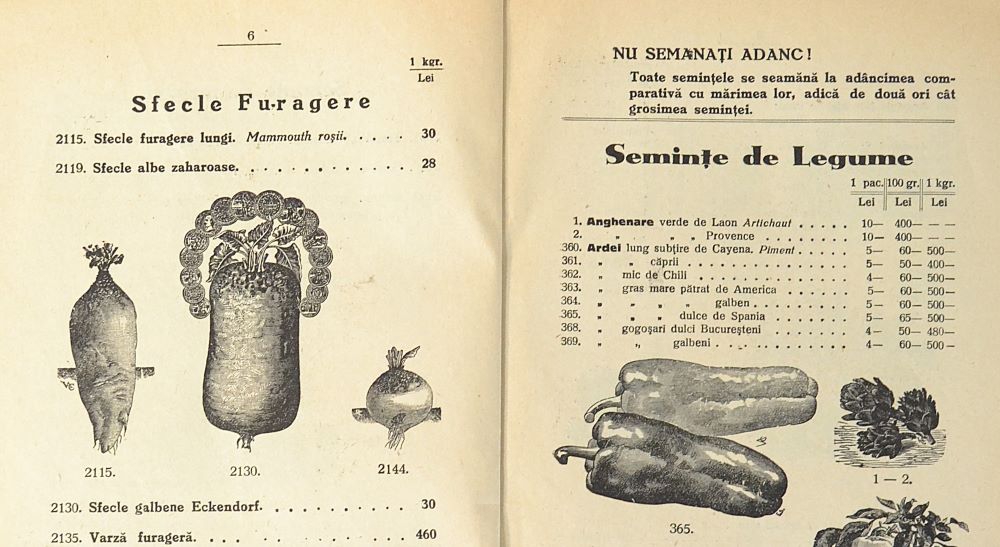 catalog-general-al-seminteriei-1937-clouard-bucuresti-la-bunul-gradinar-pages-6-and-7