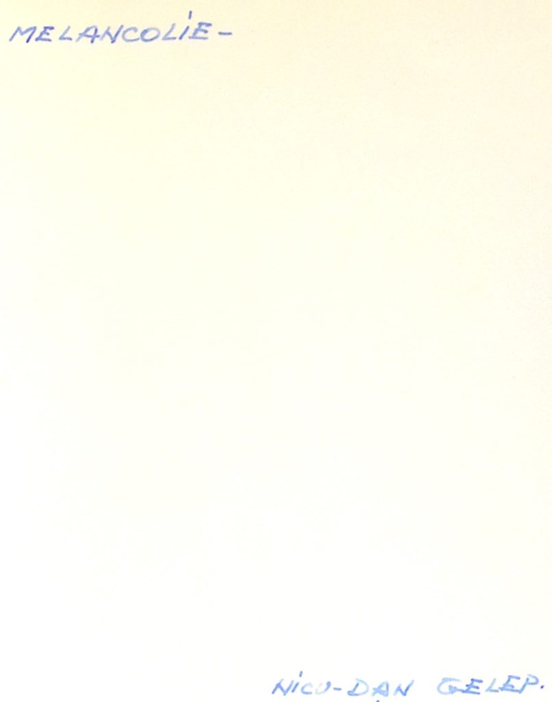 fotografie-nicu-dan-gelep-melancolie-back-cover.