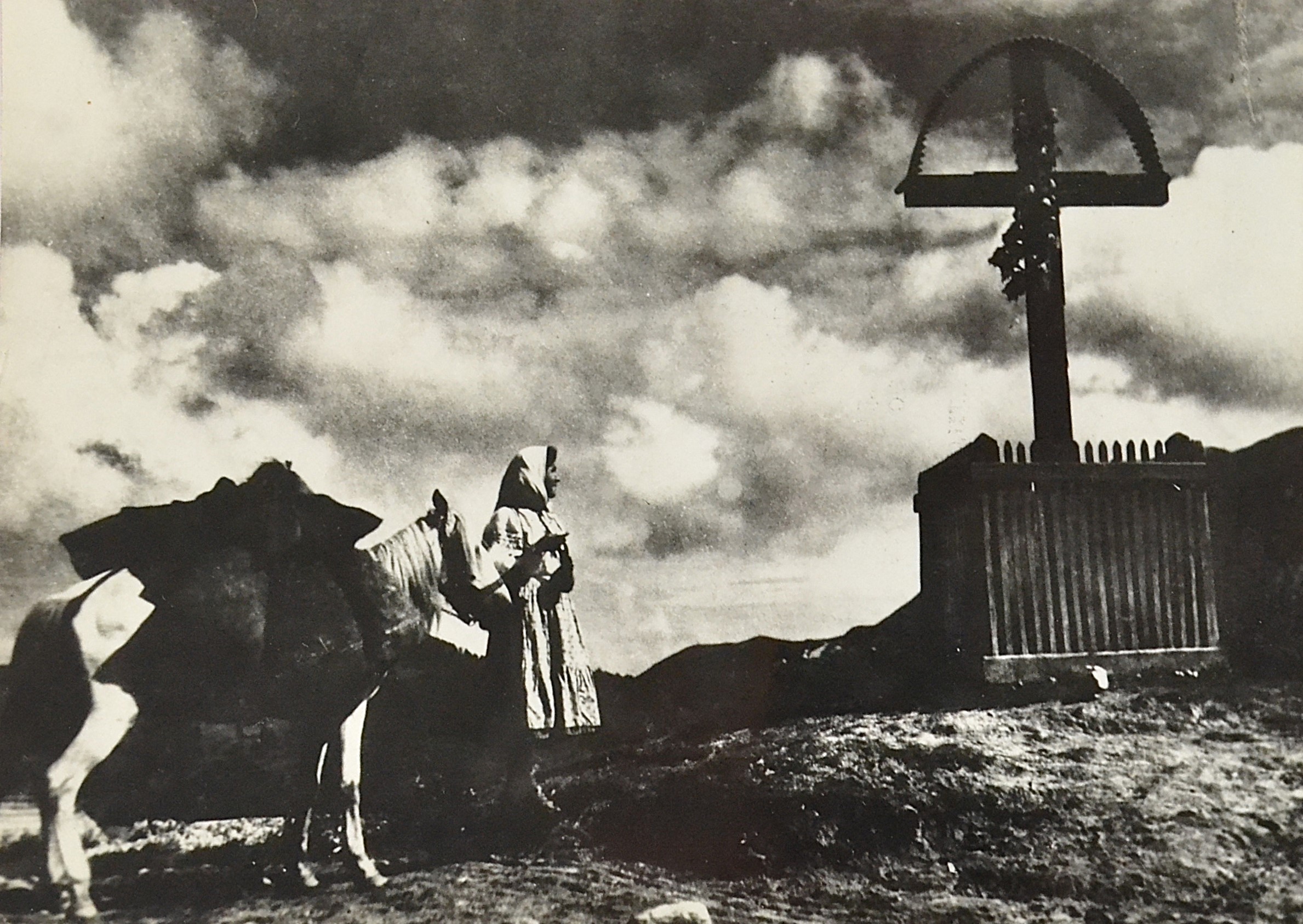 fotografie-taranca-si-cal-in-fata-troitei.